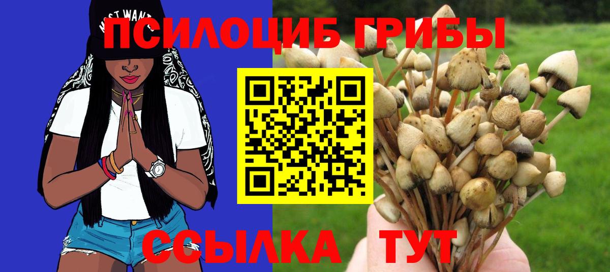 Псилоцибиновые грибы Psilocybine cubensis  Галлюциногенные грибы мицелий  Вход с VPN  Печора 